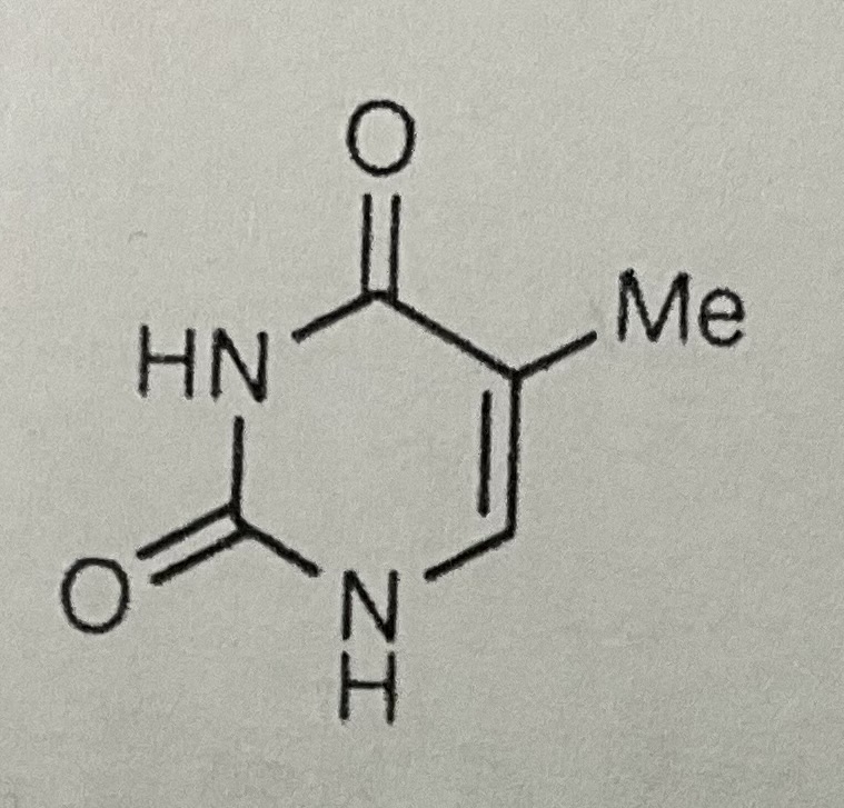 <p>Thymine</p>