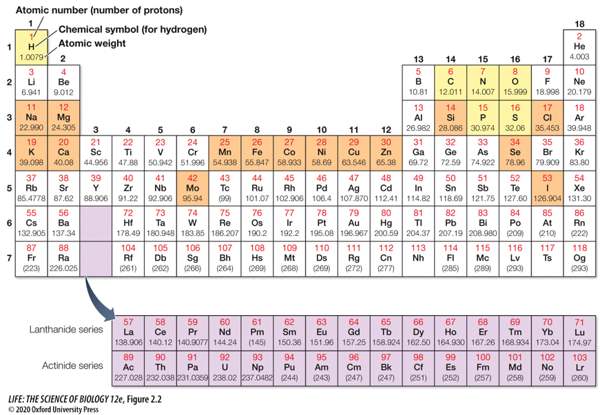 <p>98% of tissue in living organisms (except for skeletons) is made up of these 6 elements: ____, ____, ____, ____, ____, and ____.<br><br><strong>Concept 2.1 An Element’s Atomic Structure Determines Its Properties</strong></p>