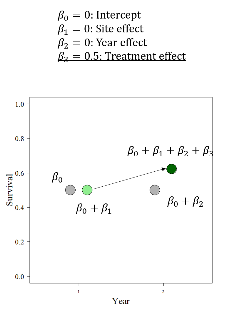<p>Resulting treatment value is a combination of:</p><p>Beta-0: intercept (starting, control value)</p><p>Beta-1: Site effect (difference between initial control and initial treatment)</p><p>Beta-2: Year effect (difference between initial control and next control)</p><p>Beta-3: Treatment effect</p>