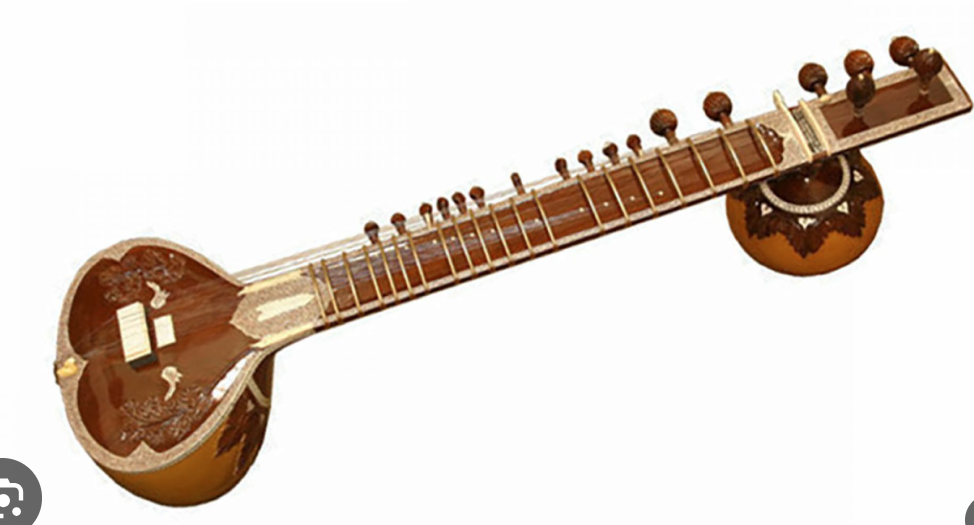 <p>A plucked string instrument with sympathetic strings, widely used in Hindustani music.</p>