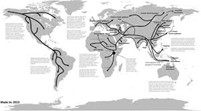 <p>what map is this?</p>