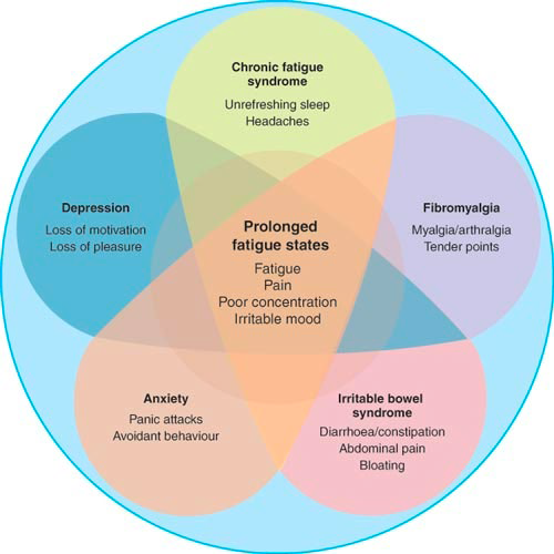 overlap between idiopathic pain conditions