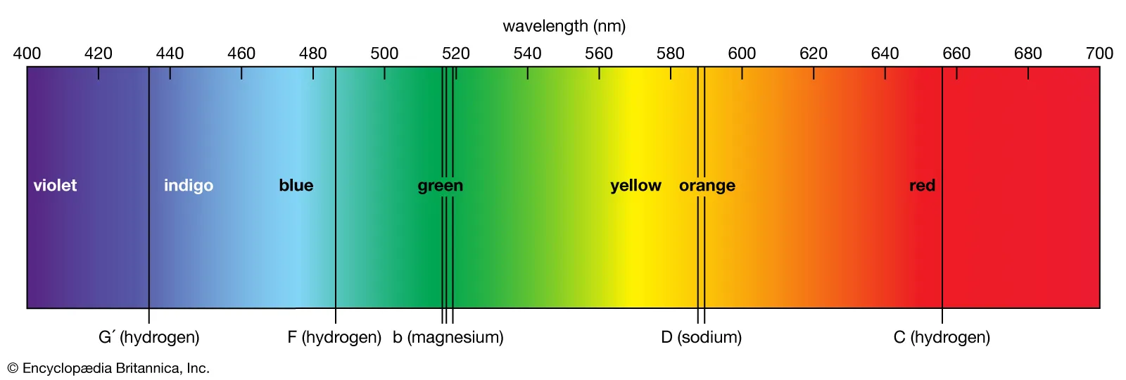 <p>A <strong>range or scale of related things</strong> that vary gradually from one extreme to another (e.g., colors, opinions, or abilities).</p>