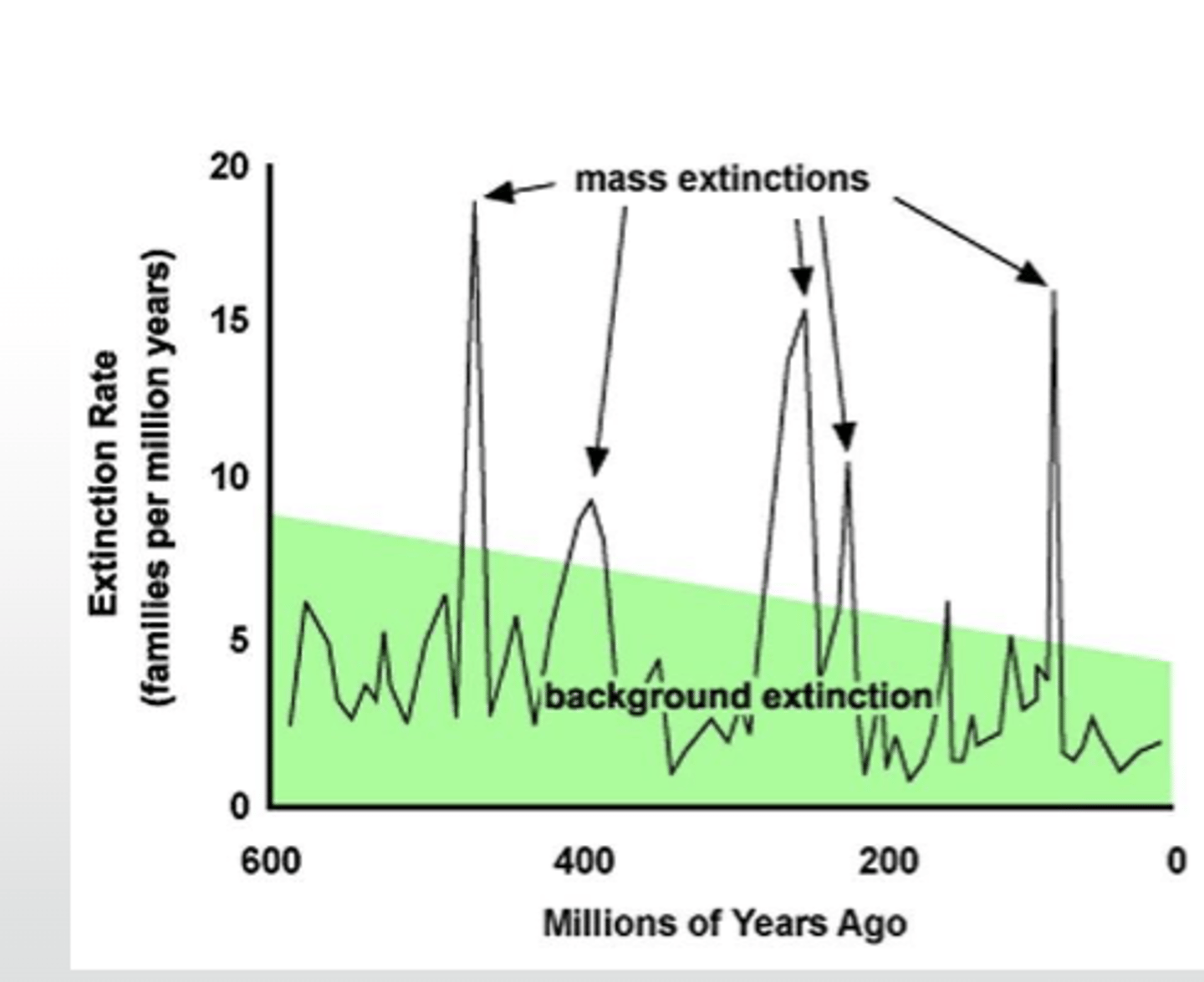 <p>- global</p><p>- broad range of species</p><p>- short amount of time</p><p>>60% of species within</p><p><1 million years</p>
