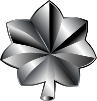 <p>one silver oak leaf</p>