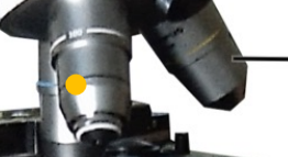 Objective lens