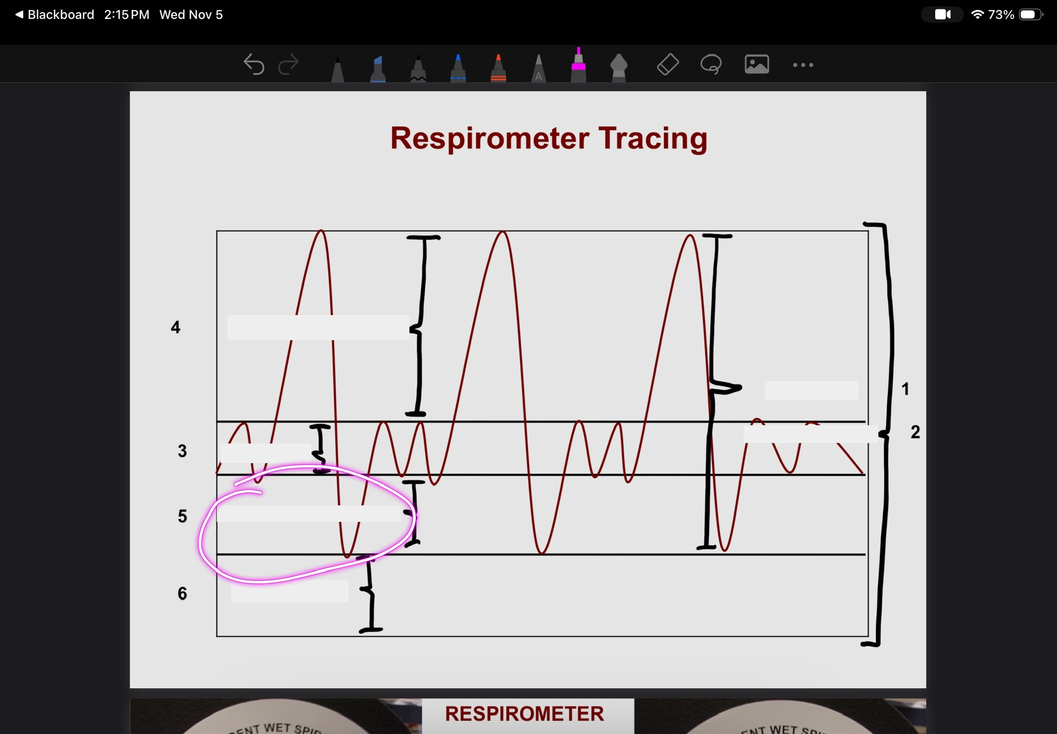 <p>What is this?</p>