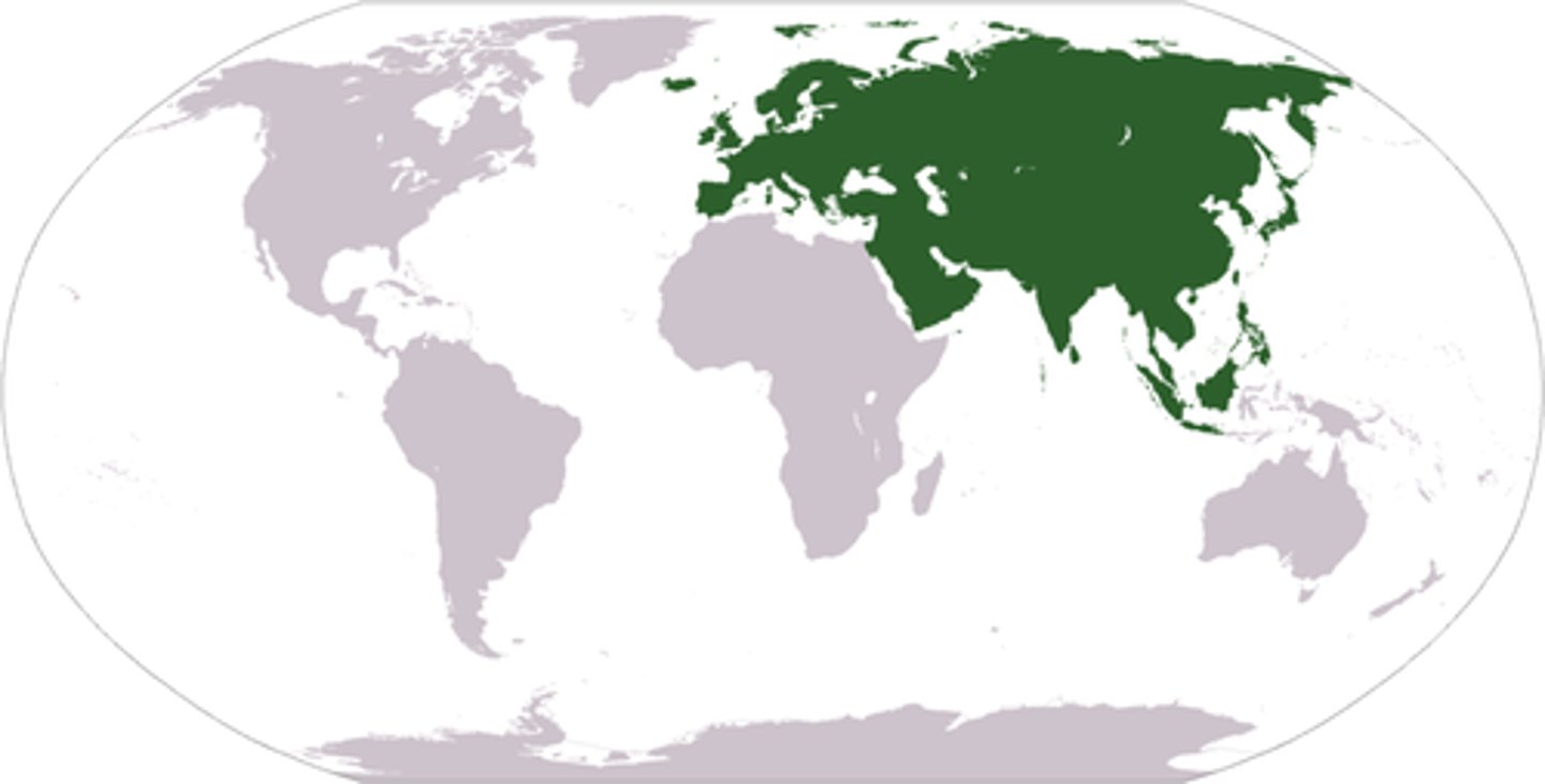 <p>the land mass formed by the continents of Europe and Asia</p>