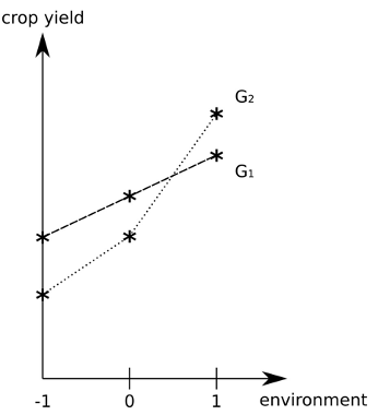 There is interaction between genes and the environment