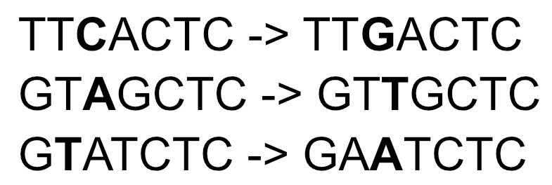 <p>which of the following base substituions causes a nonsense mutation</p>