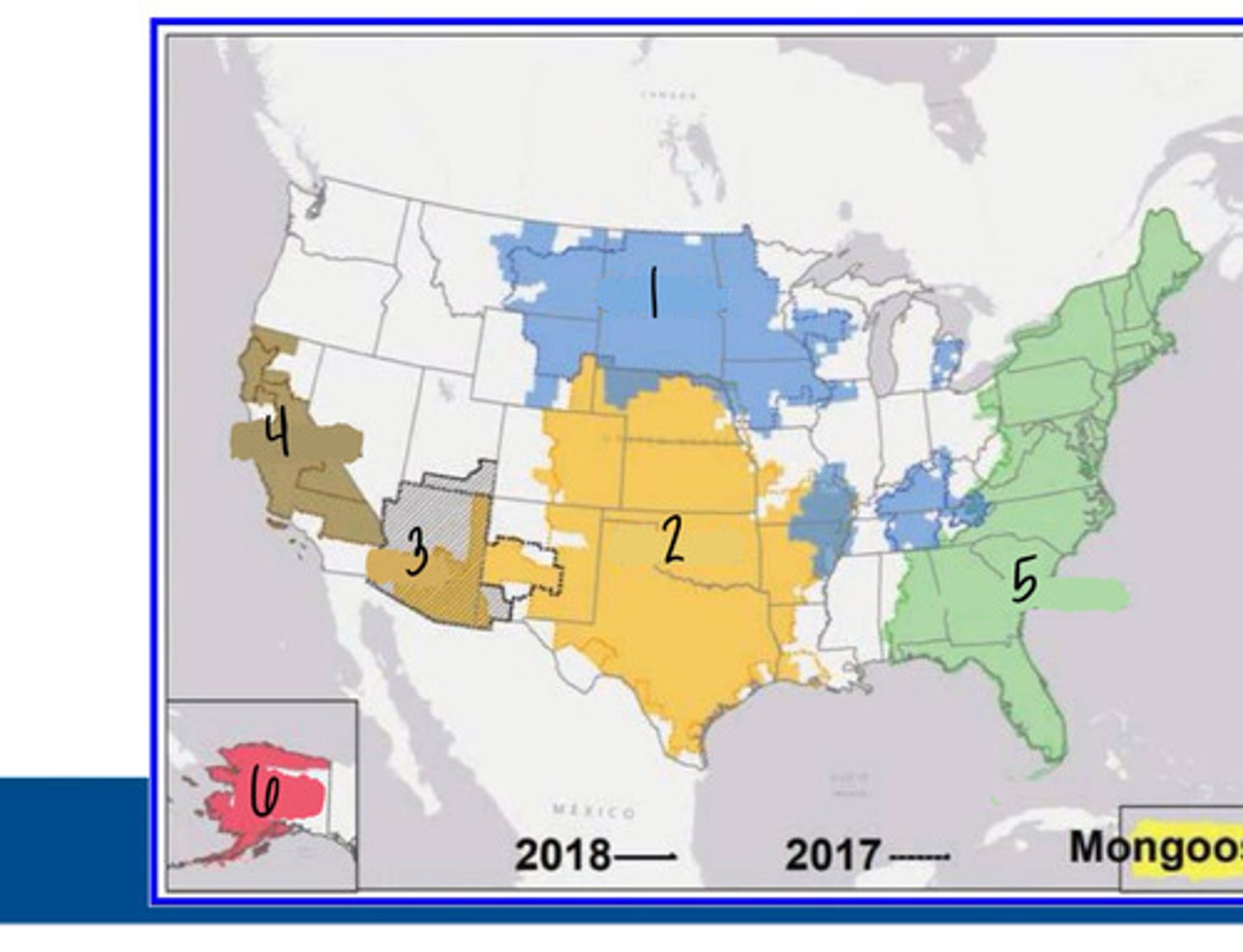 <p>What animal predominates area 4 for this rabies virus variant?</p>