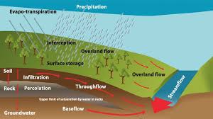 <p>Portion of groundwater that flows into rivers gradually; critical for ecosystems during dry periods.</p>