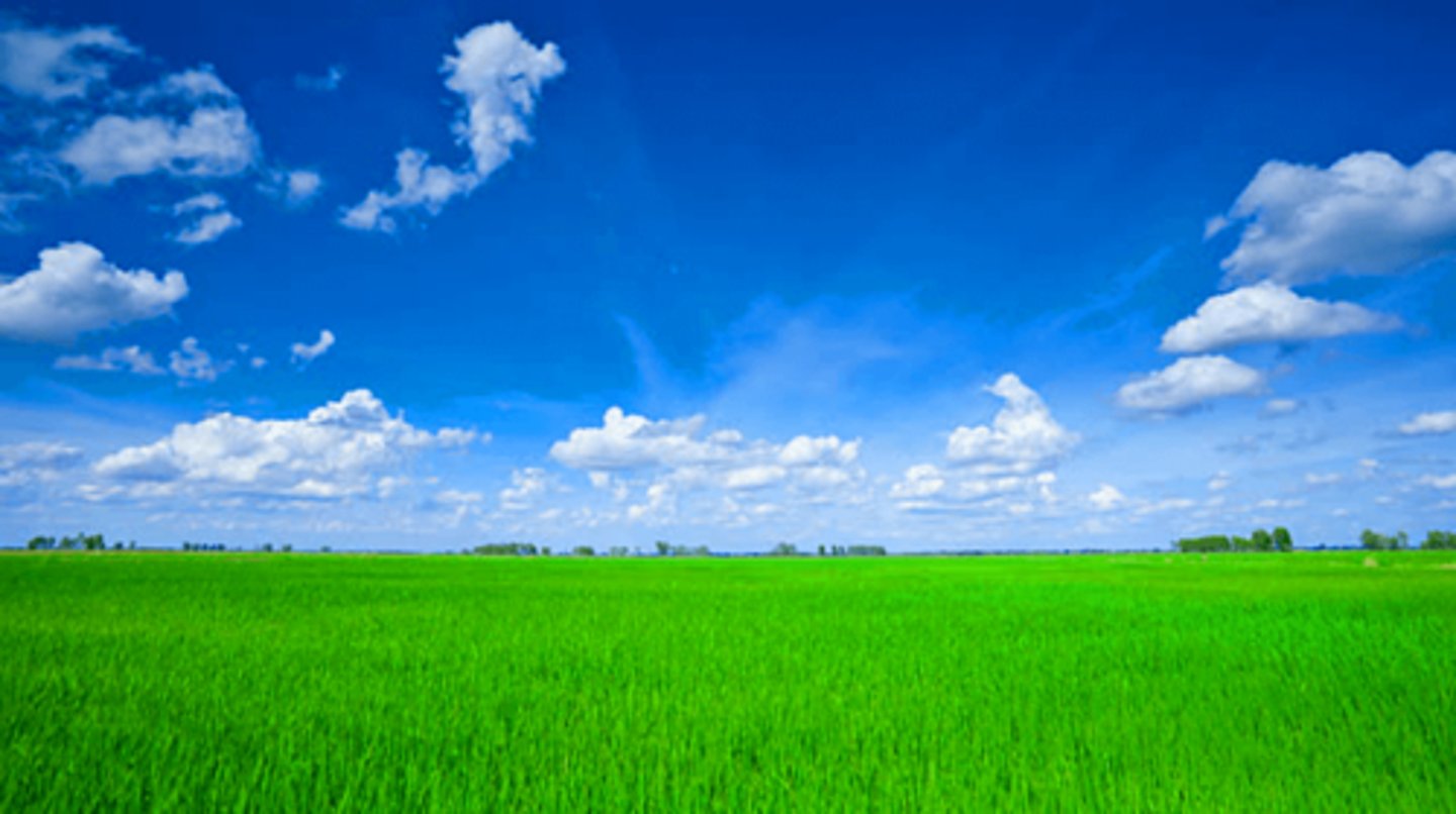 <p>the air around the Earth; the feeling of a place: bầu khí quyển; không khí (bầu không khí)</p>