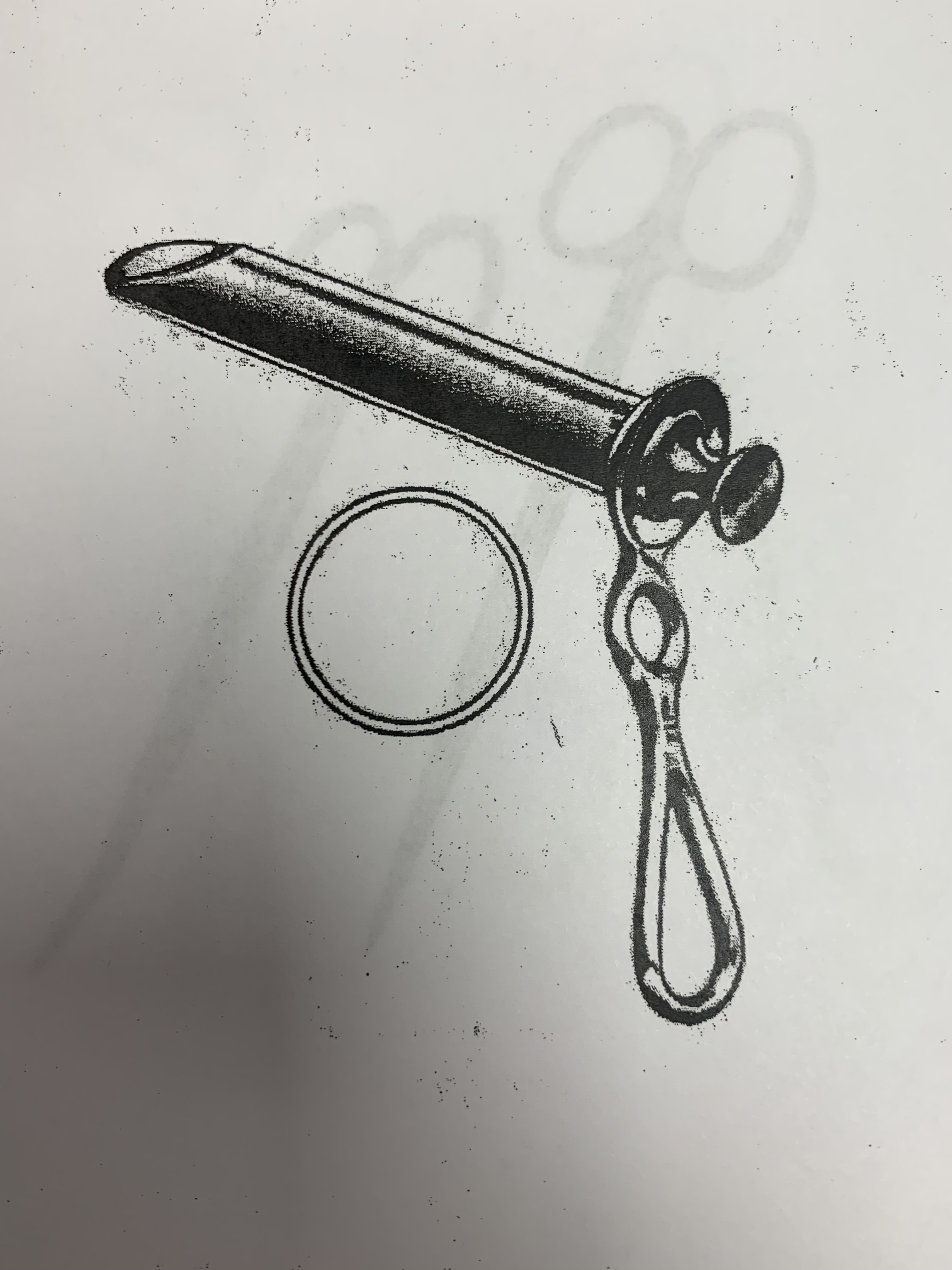 term image