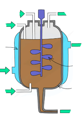 term image