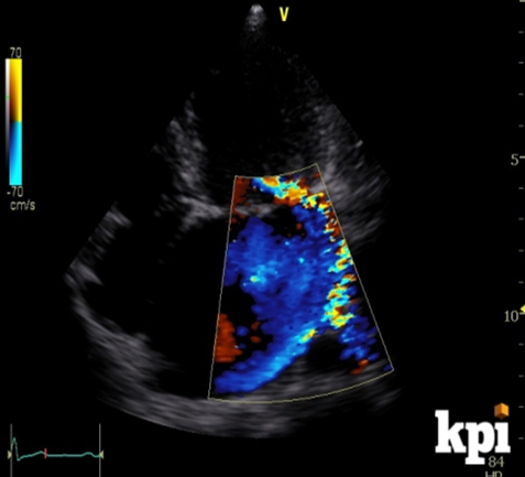 <p>what is this?</p>