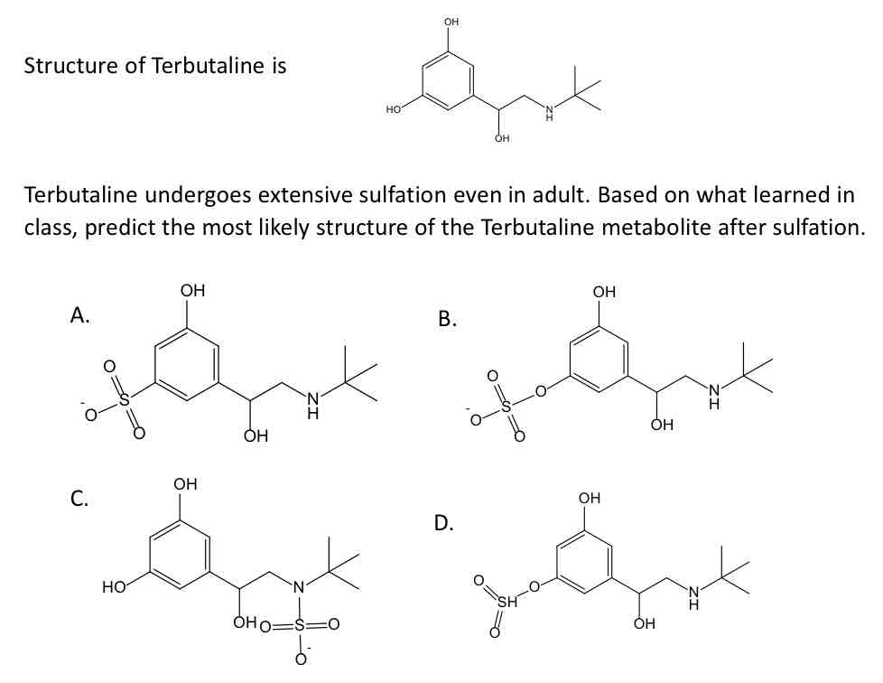 <p>Terbutaline undergoes extensive sulfation even in adult.</p><p><strong>Based on what learned in class, predict the most likely structure of the Terbutaline metabolite after sulfation.</strong></p>