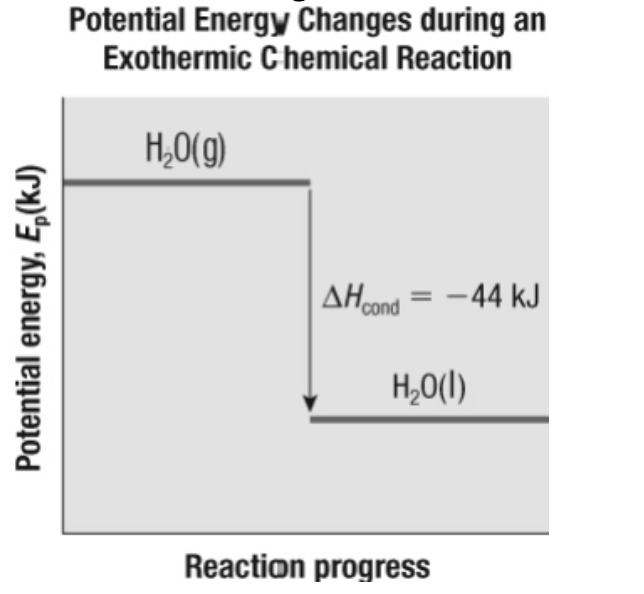 <p>10. Which equation correctly summarizes the information in this figure?</p><p class="p2">&nbsp;</p><table style="min-width: 50px"><colgroup><col style="min-width: 25px"><col style="min-width: 25px"></colgroup><tbody><tr><td colspan="1" rowspan="1"><p class="p1">a.</p></td><td colspan="1" rowspan="1"><p class="p1">H<sub>2</sub>O(g) → H<sub>2</sub>O(l) + 44 kJ</p></td></tr><tr><td colspan="1" rowspan="1"><p class="p1">b.</p></td><td colspan="1" rowspan="1"><p class="p1">Δ<em>H</em><sub>cond</sub> = 44 kJ</p></td></tr><tr><td colspan="1" rowspan="1"><p class="p1">c.</p></td><td colspan="1" rowspan="1"><p class="p1">H<sub>2</sub>O(g) → H<sub>2</sub>O(l), Δ<em>H</em> = 44 kJ</p></td></tr><tr><td colspan="1" rowspan="1"><p class="p1">d.</p></td><td colspan="1" rowspan="1"><p class="p1">all of the above</p></td></tr></tbody></table><p></p>