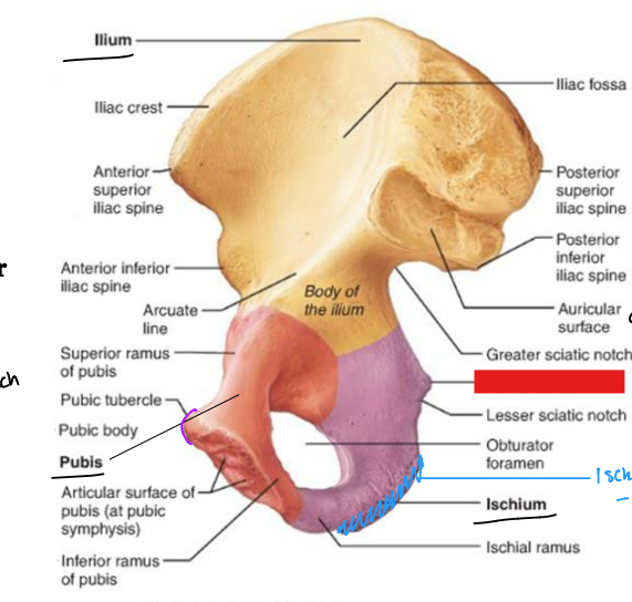 <p>fill in the red box:</p>