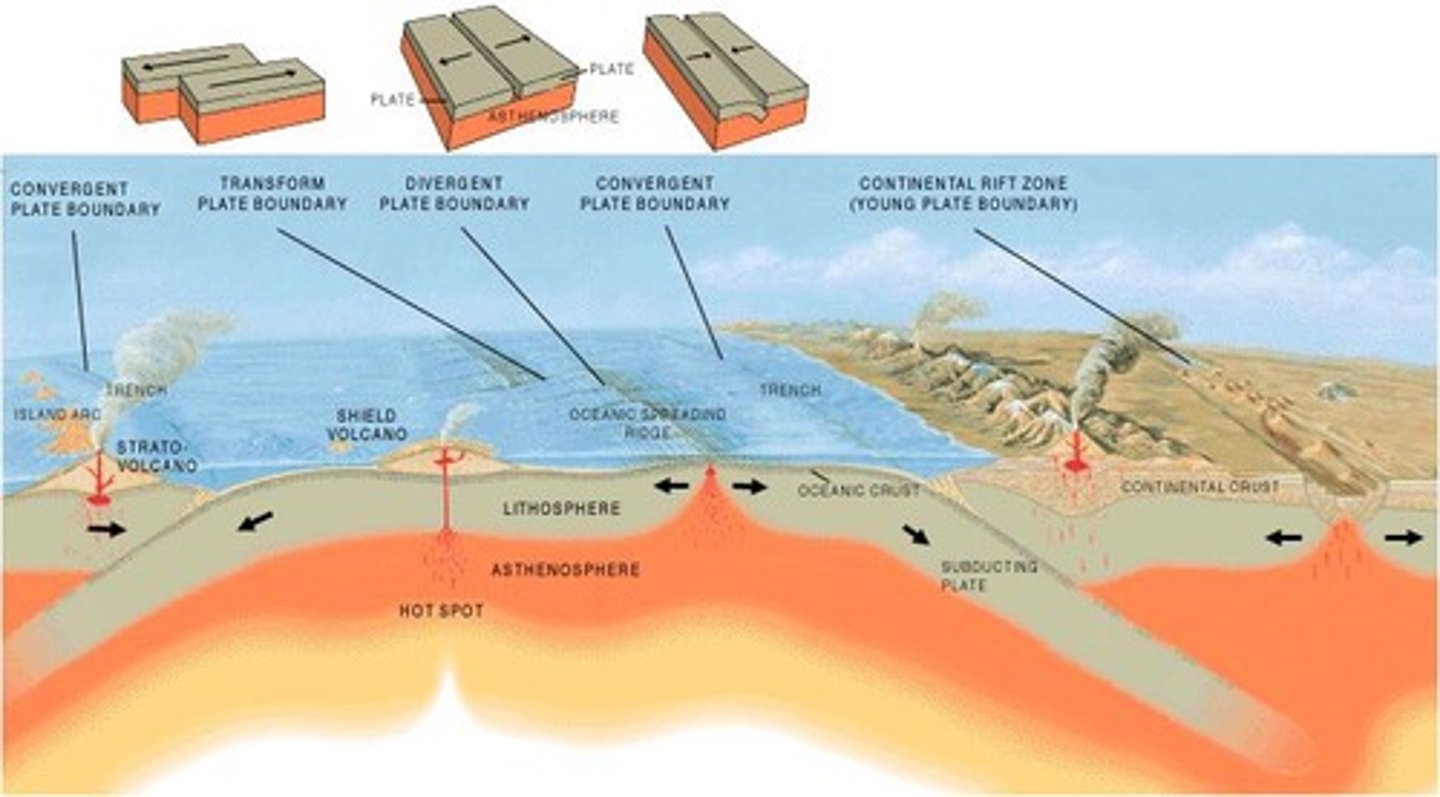 <p>Oceanic crust sinks beneath continental crust.</p>