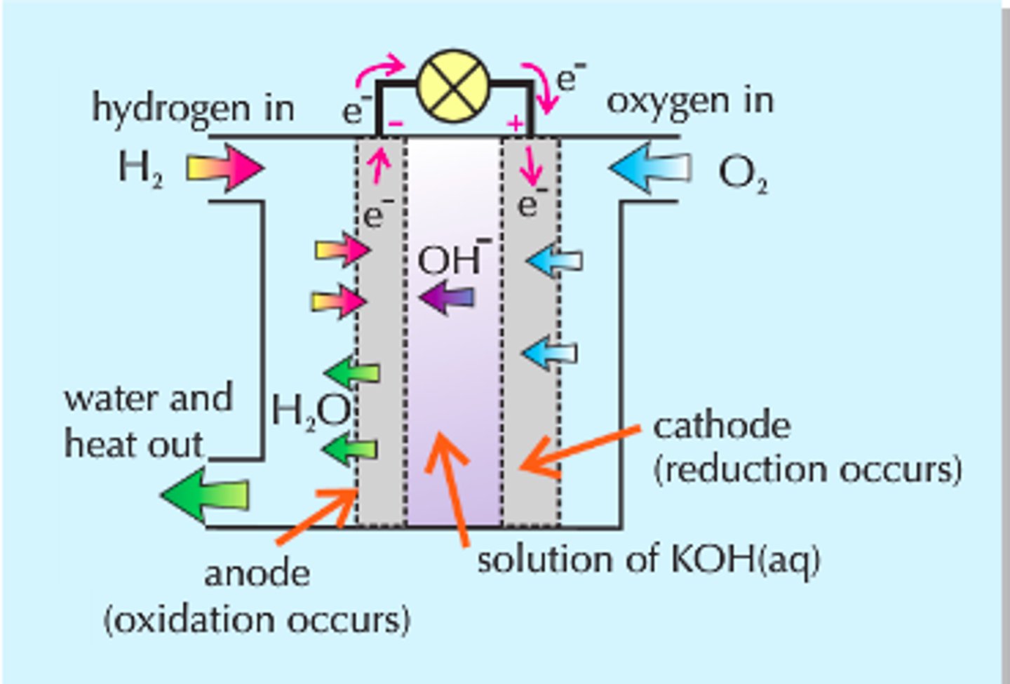 <p>Electrolyte can be acidic or alkaline</p><p>H2(g) + 1/2 O2 (g) &gt; H2O (l)</p><p>cell voltages are both 1.23 V</p>