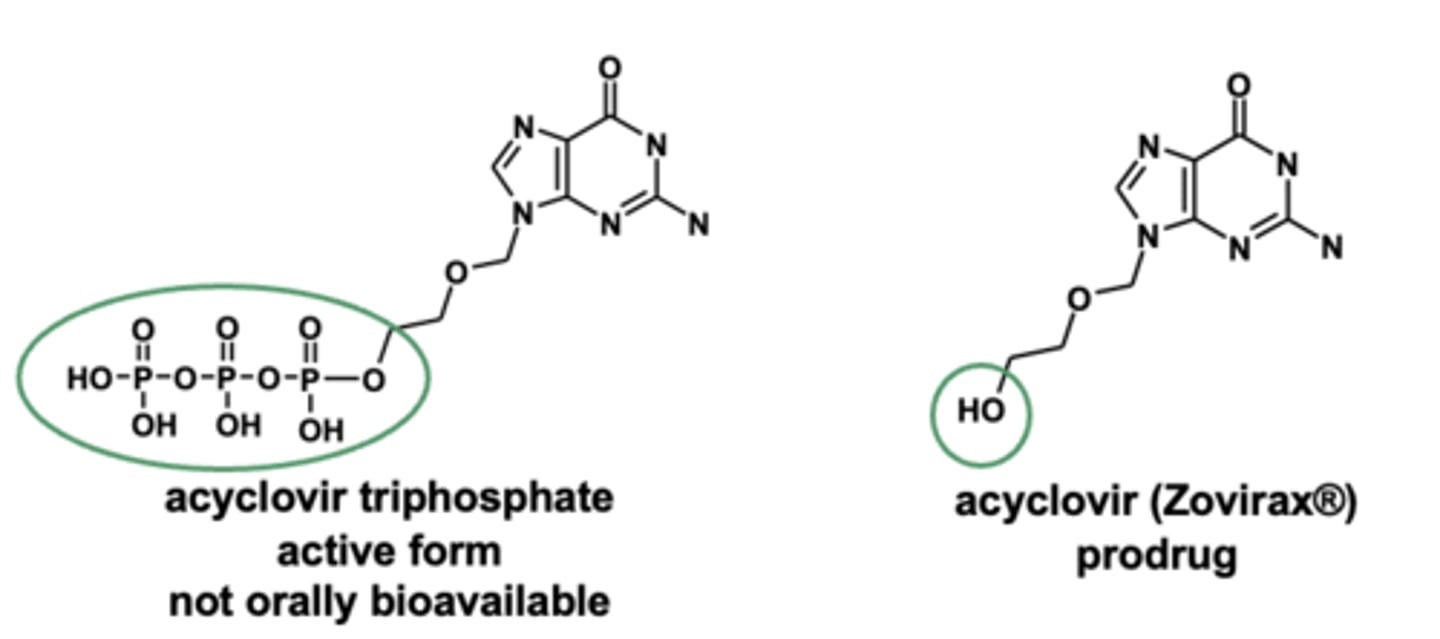 <p><strong>acyclovir (Zovirax®)</strong></p><p><strong>prodrug</strong></p>