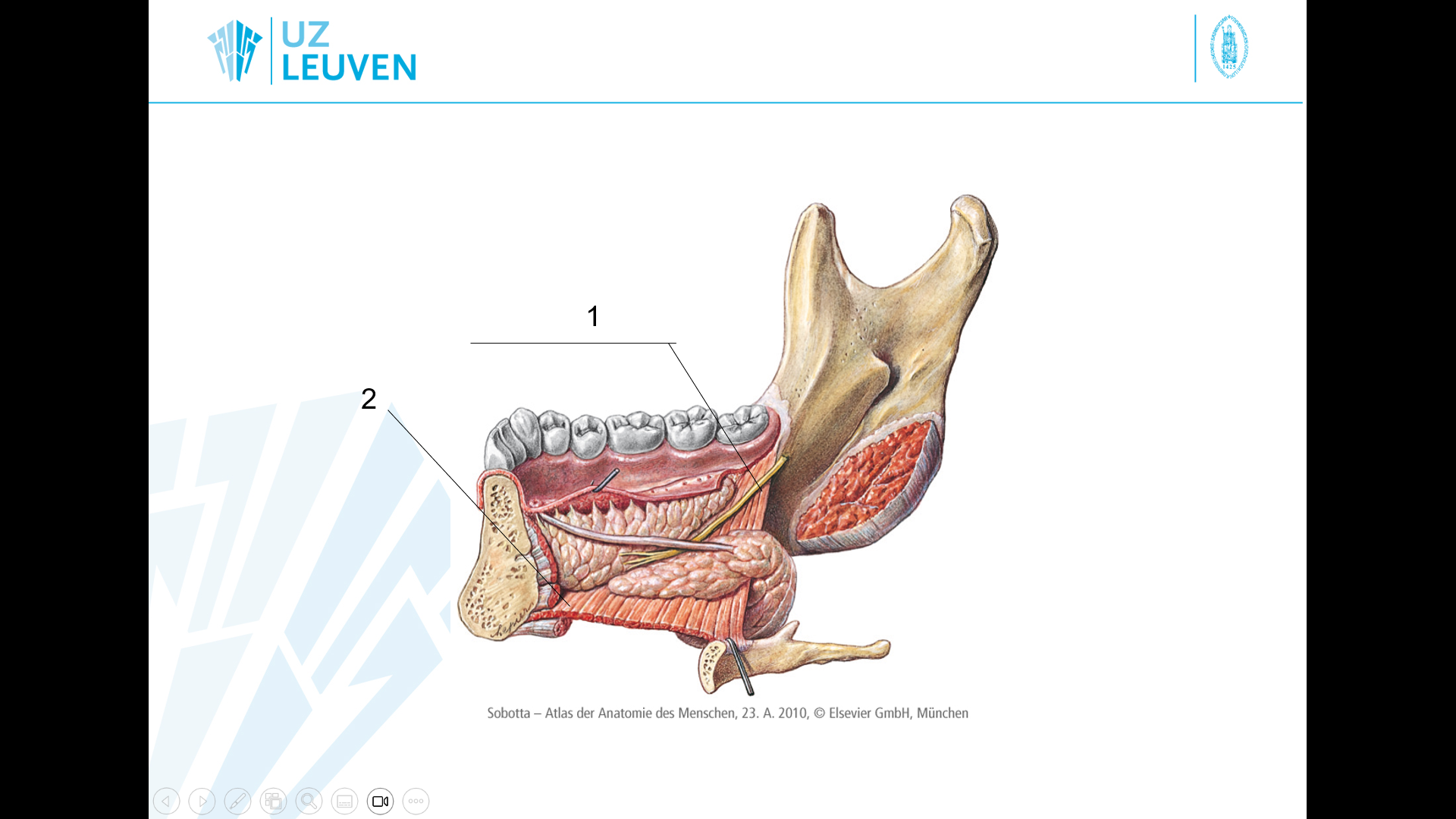 <p>1</p>