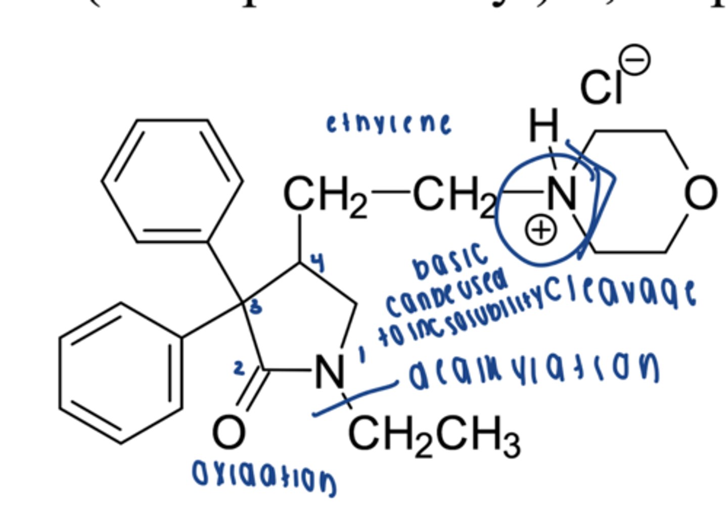 <p>oxidative phase 1 reactions (oxidation, hydroxylation, dealkylation)</p>