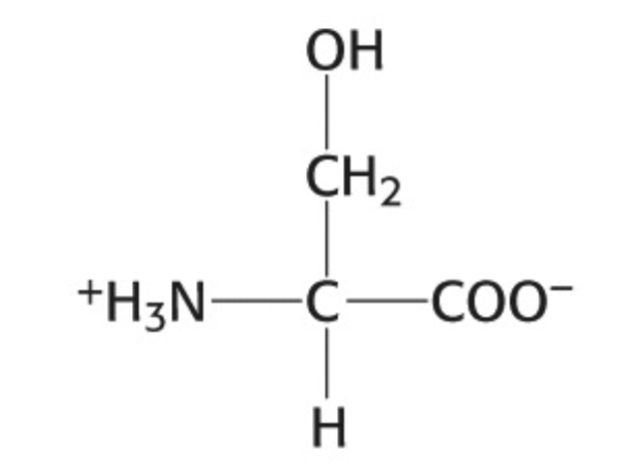 <p>Which amino acid is this</p>