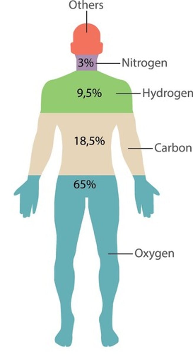 BIOL B32 Ch2/Labs 23 Basic and Chemistry, Organic