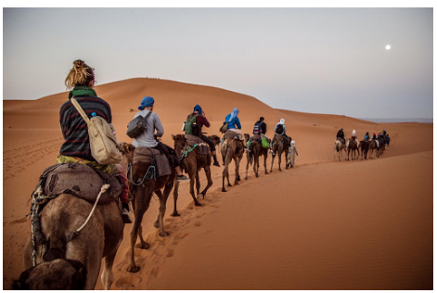 <p>A dry area with very little rain.</p>