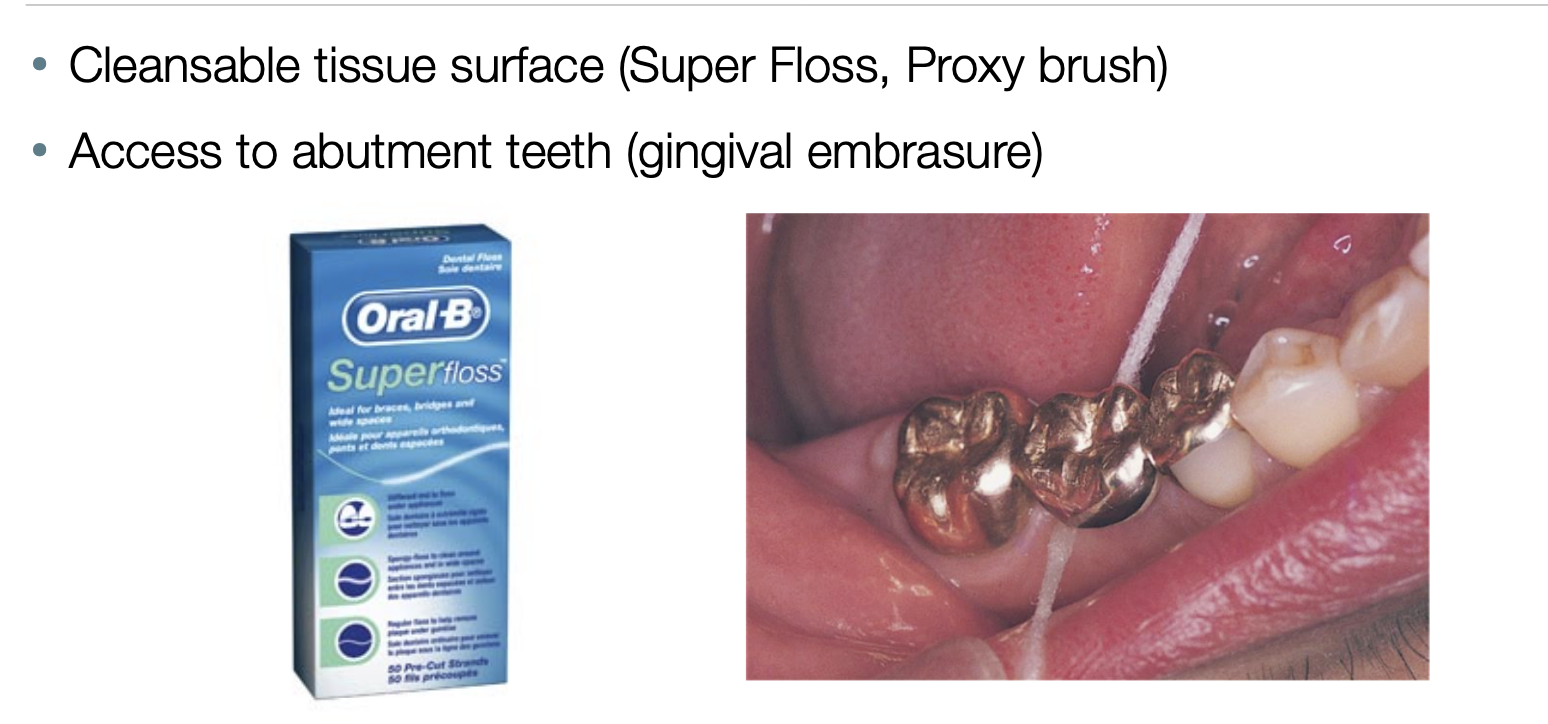 <ul><li><p>cleansable tissue surface </p></li><li><p>access to abutment teeth (gingival embrasure) </p></li></ul><p></p>
