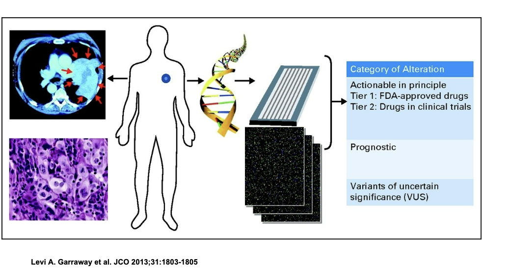<ul><li><p>pt with tumor is IDed and biopsy is taken</p></li><li><p>tumor DNA is extracted and sequenced to look for mutations</p></li><li><p>detected mutations are sorted into 3 categories</p><ul><li><p>actionable</p><ul><li><p>tier 1 → mutations with available FDA approved drugs</p></li><li><p>tier 2 → mutations with drugs currently in clinical trials</p></li></ul></li><li><p>prognostic</p><ul><li><p>mutations that tell us about how aggressive the cancer might be or the patient’s likely outcome</p></li></ul></li><li><p>variants of uncertain significance </p><ul><li><p>mutations we’ve found but do NOT know what they mean clinically</p></li></ul></li></ul></li></ul><p></p>