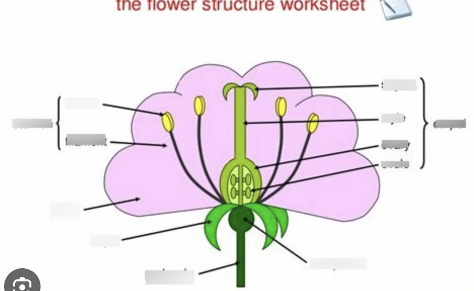 <p>finish these labels:</p>