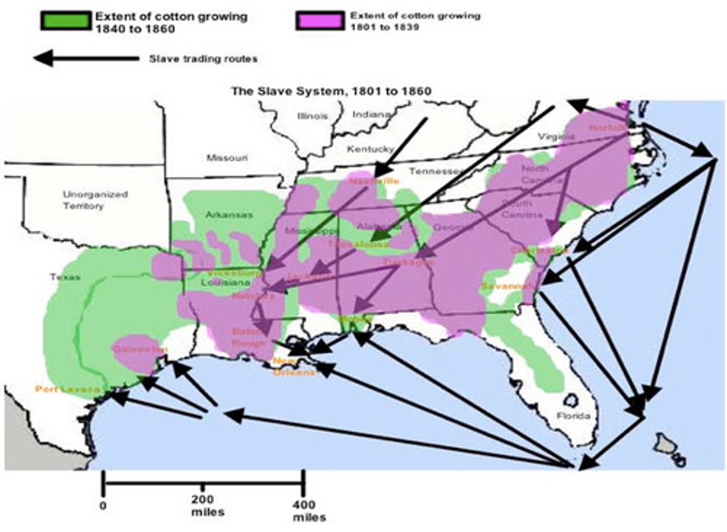 <p>Areas in the south where cotton farming developed because of the high demand for cotton and soon dominated the economy.</p>