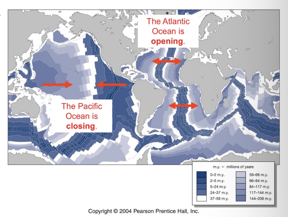 <p><strong>APPLY understanding of the Wilson Cycle to predict the locations of spreading and subduction on Earth both in the past and in the future.</strong></p><p>Where on Earth is an example of a continent starting to break apart?</p><p></p><p></p>