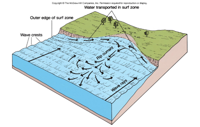 <p>The transport of sand, silt, and other particles away from the shoreline and into deeper water, often by powerful storm waves, which can erode the beach and form underwater sandbars</p><ul><li><p><span>Erosion and sediment transport by rip currents and submarine landslides cause underwater canyons</span></p></li></ul><p></p>