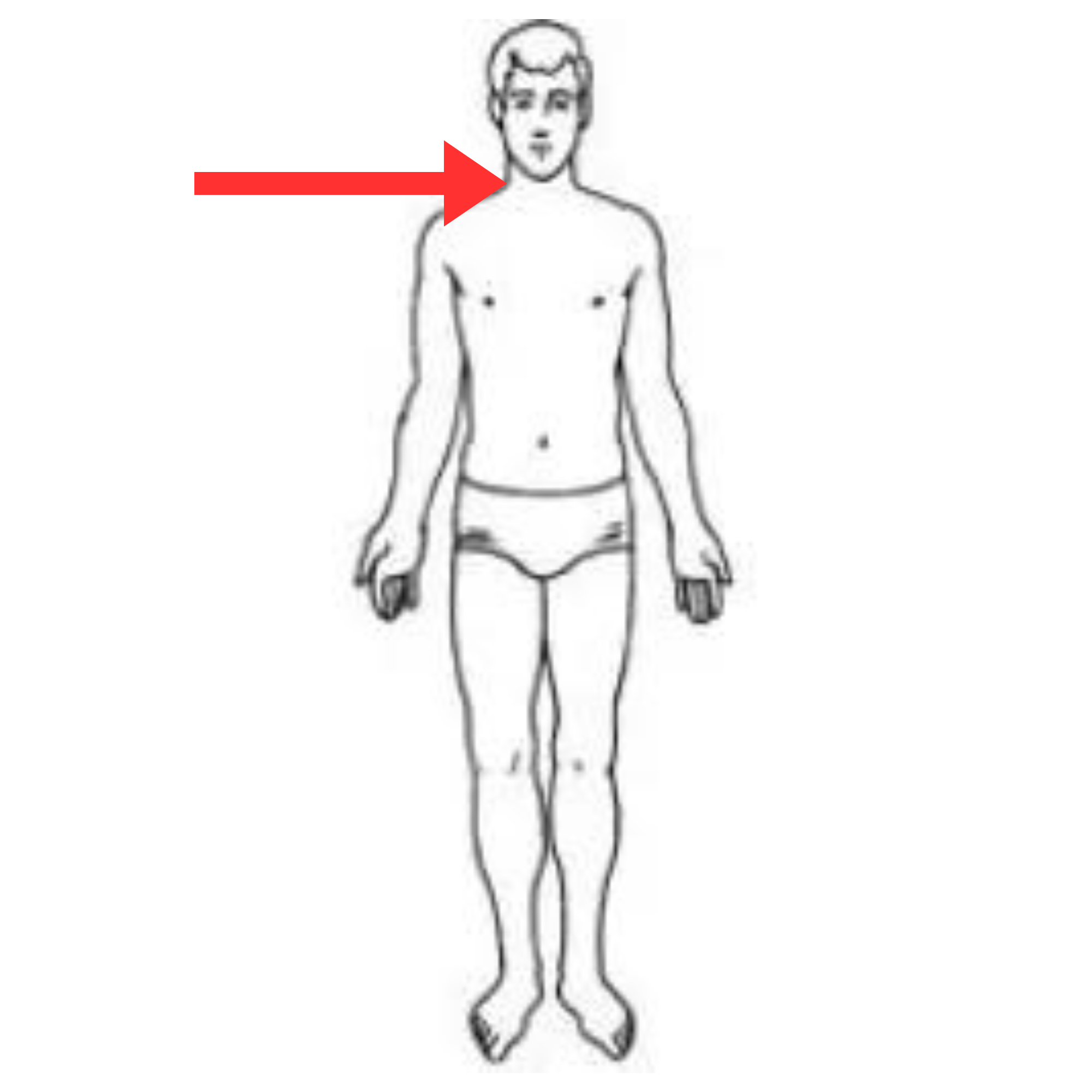 <p>What is this pulse site</p>