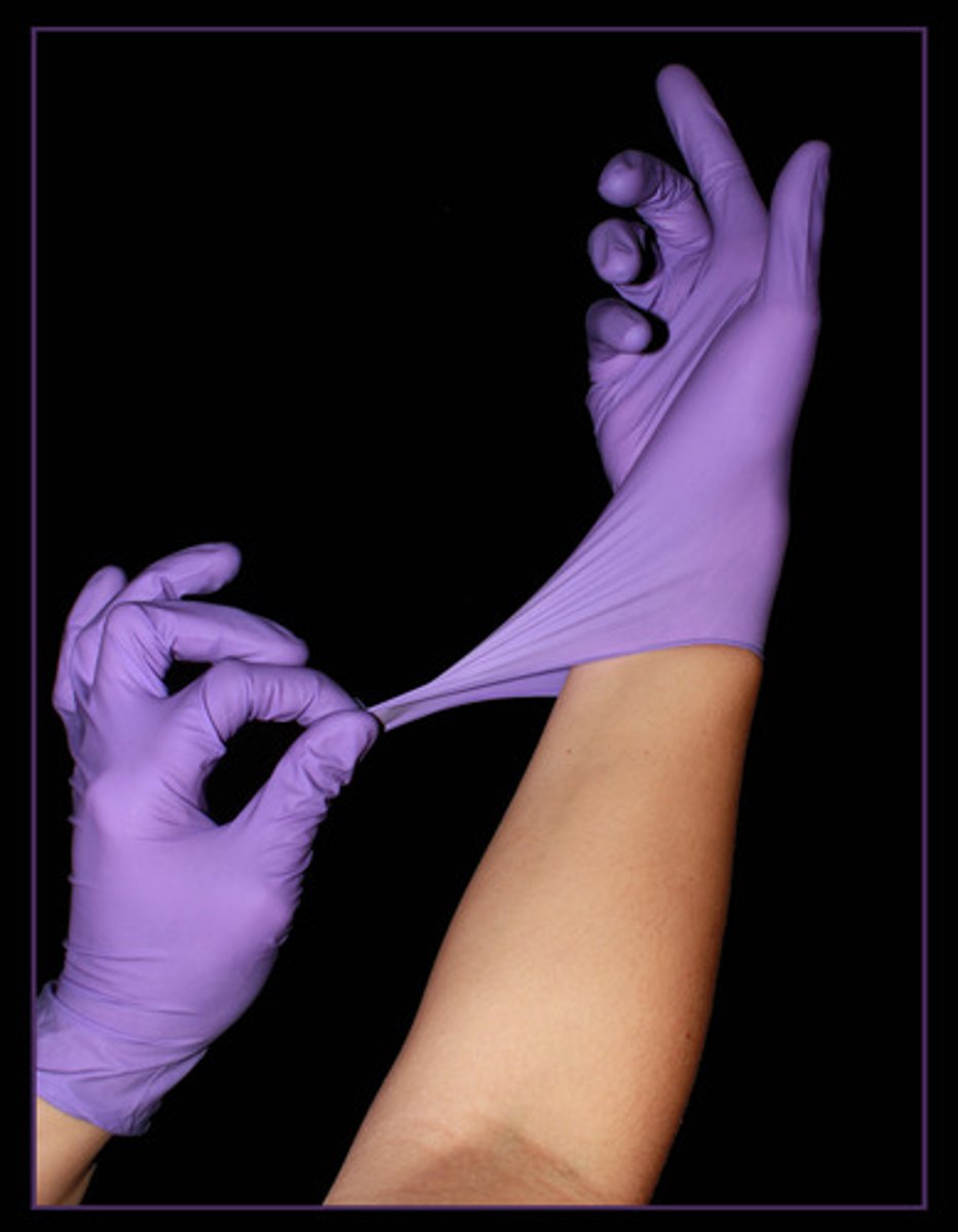 <p>Used to protect the wearer's hands from chemicals and specimen during lab</p><p>Lab space: on side of grey cabinet</p>