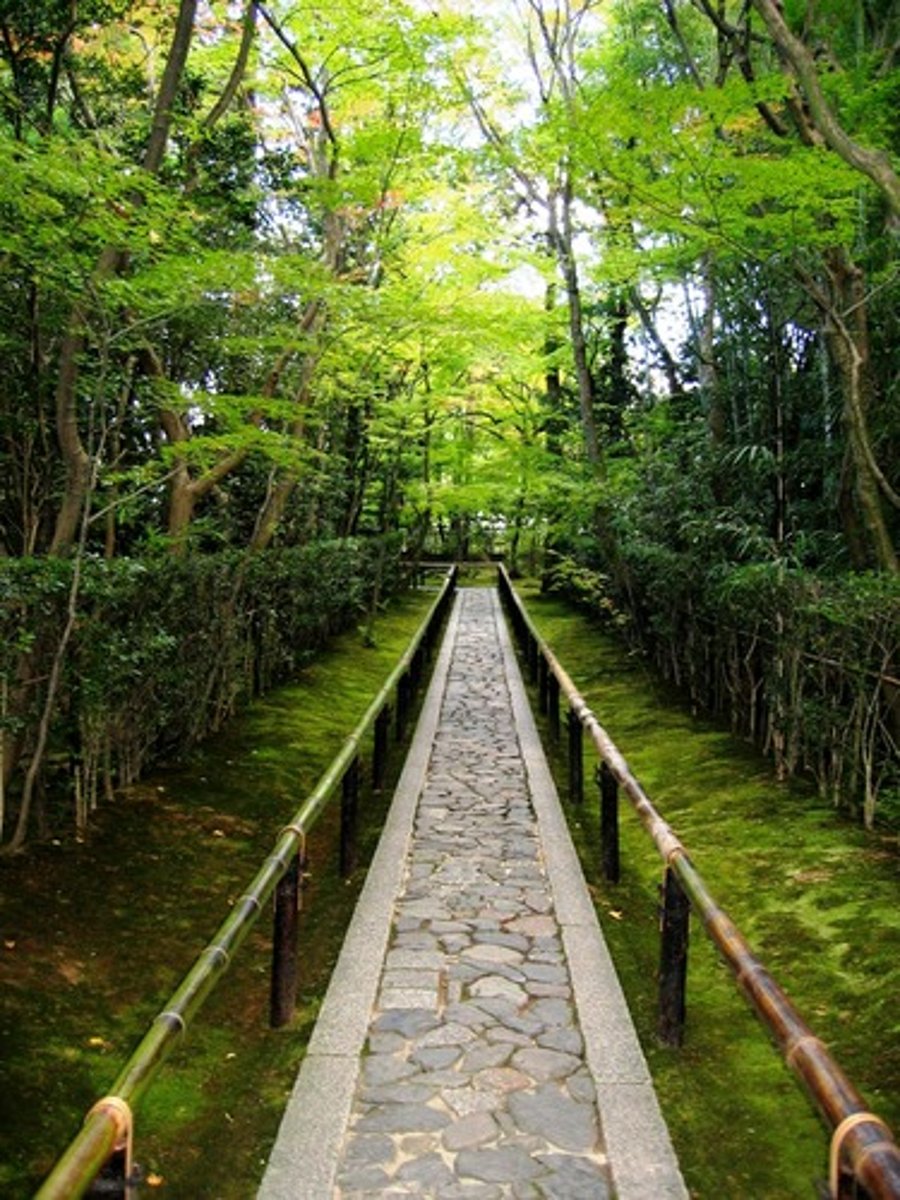 <p>a way of living that is the Buddha's solution to suffering</p>