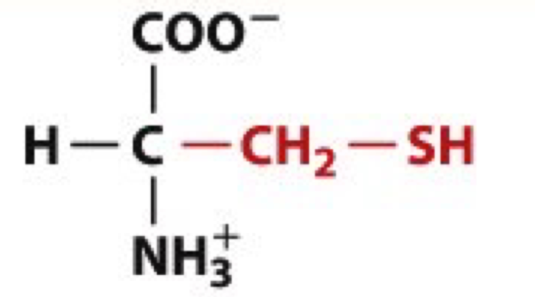 <ul><li><p>Cys, C</p></li><li><p>uncharged</p></li></ul><p></p>