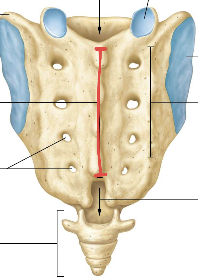 <p>what is this?</p>