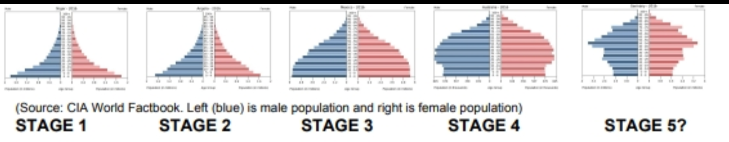 <p>Refers to the diagrams which show age distribution and sex composition of a population.</p>