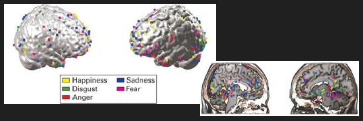 <p>What did these meta-analyses of brain imaging studies reveal about emotion and the brain? </p>