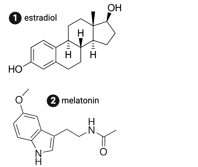 <p>Which molecule is more likely to bind to an intracellular receptor?</p><ul><li><p><span>a. estrogen</span></p></li><li><p><span>b. melatonin</span></p></li></ul><p></p>