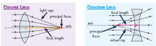 <ul><li><p>The axis of a lens is a line passing through the middle of the lens.</p></li><li><p>The principal focus of a convex lens is where rays hitting the lens parallel to the axis all meet.</p></li><li><p>The principal focus of a concave lens is the point where rays hitting the lens parallel to the axis appear to all come from - you can trace them back until they all appear to meet up at a point behind the lens.</p></li><li><p>There is a principal focus on each side of the lens. The distance from the centre of the lens to the principal focus is called the focal length.</p></li></ul><p></p>