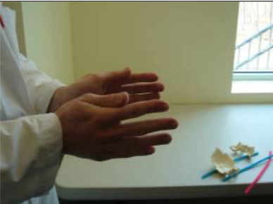 <p>Identify the Cranial Strain Pattern:</p>
