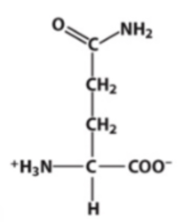 <p>Identify this amino acid.</p>