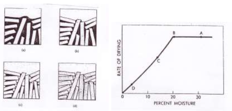 <p><span>Lors du séchage d’un pièce céramique aluminosilicatée, quels sont les phénomènes rencontrés aux points A, B, C et D dans les diagrammes suivants : (4 points)</span></p>