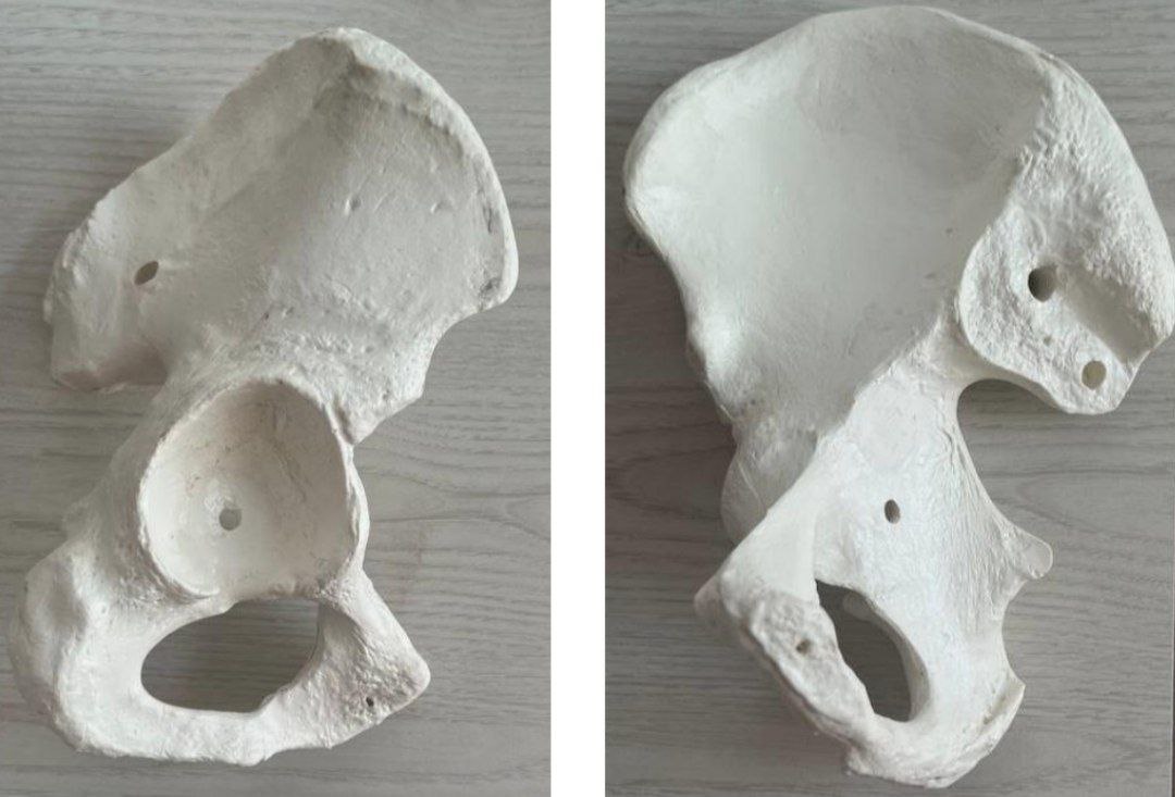 <p>Identify the bone and classify according to position and shape</p>